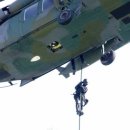 제31사단 503여단 이미지