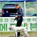 성웅 이미지