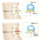 다나고한의원 이미지
