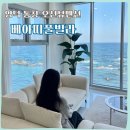 베아띠 풀빌라 | 가족과 방문하기도 좋은 영덕 통창 오션뷰펜션 _ 베아띠 풀빌라