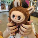 뷰티이너스 이미지