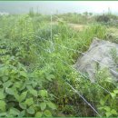 진정농장 이미지