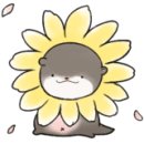 대구노리존 이미지