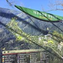 화암로 | 대구 가볼만한곳! 걷기 좋은 힐링 코스 대구수목원 후기