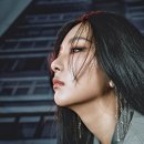 슬기비디오 이미지