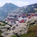 (주)태산국제 이미지