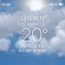 송도복지할인마트 | 코스트코 인천 송도점 11월 장보기