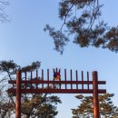 비운의 왕, 명종 그리고 인순왕후의 보금자리 "강릉" 알아보기 이미지