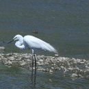 청림전자 이미지