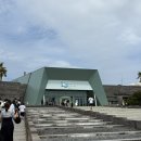 지에스25 제주섭지코지점 | 제주도 아이랑가기 좋은 관광지 아쿠아플라넷 제주