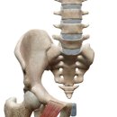 몸짱만들기GYM 이미지