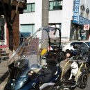 멋진강아지 이미지