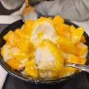 동탄 반송동 망고 빙수 비타민 팡팡 내돈내산