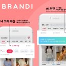 브랜디업 동행미디어 시대