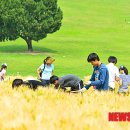 김영욱농장 이미지