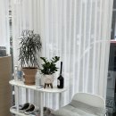 네일또하리 이미지