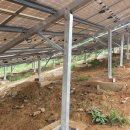 한국쏠라뱅크 태양광발전소 이미지