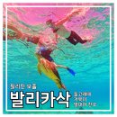 위드호핑 | 필리핀 보홀여행 ] 발리카삭 호핑투어 - 돌고래100마리 쇼보고 거북이랑 수영하고 열대어랑 놀기