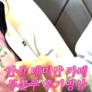 서안산IC주유소 이미지