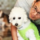 은퇴한 수의사의 저택 이미지