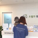 오월의 동물병원 이미지