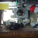 도림1동 이미지