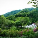 운장산자연휴양림 이미지