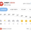 망상오토캠핑장 8번 :: 동해 오션뷰 캠핑장 추천! 예약 &amp; 시설 후기