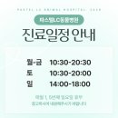 파스텔동물병원 이미지