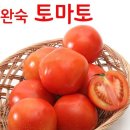 토마토 이미지