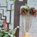 똘이랑쩡아 애견미용 이미지