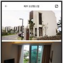 팜스빌리지 501 | 제주 한림읍 오션팜스힐 팜스빌리지 가성비 좋은 독채 펜션 후기