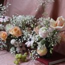 세느파크 이미지