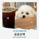 [대구 남구 애견동반 카페] 강아지와 다녀온 대명동 공공산책 멍푸치노 후기