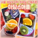 서울 강남 삼성역 디저트 아담스애플 과일가게 컵과일 단체주문 후기