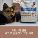 진환경 | 강아지 사료 추천! 수의사가 만든 콰트로 동결건조 코팅 사료