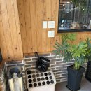 여주막국수 | 여주막국수, 삼계탕 맛집 ‘한양막국수상황버섯반계탕‘ 후기