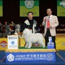 풀리 이미지