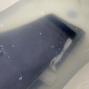 킹더워시 | 웨어하우스 Lot 800XX 스탠다드 논워시 #소킹후기 #수축정보 #260330 #WAREHOUSE&amp;CO