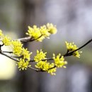 여주설렁탕 이미지