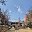 뽑아봐U | 홍대속눈썹펌 '스튜디오누브' 대만족 U컬 후기