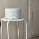 회동솔향캠핑장 메인 화장실 | 立春大吉(입춘대길)