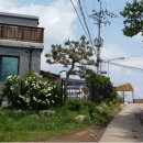 남한강 자전거도로 이미지