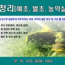 넝쿨 태양광발전소 이미지