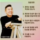 인셀덤코리아 이미지