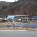 금호강1 이미지