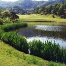 이스트밸리컨트리클럽 이미지