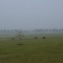 너른초원 이미지