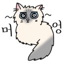 심쿵하냥 이미지