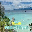 하얀고래 in 백야 | 세부 오슬롭 수밀론섬 데이유즈 (예약이메일첨부), 코스 자유여행 후기